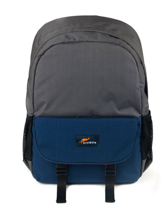 

Protecta 15.6 inch Laptop Backpack(Grey), Grey;navy blue