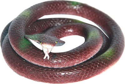 

Homeshopeez Rubber Snake Gag/Prank Toy-F-Brw(Brown)