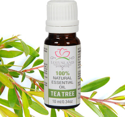 

Lotusland 100% Pure & Natural Teatree Essential Oil(10 ml)