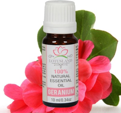 

Lotusland 100% Pure & Natural Geranium Oil(10 ml)