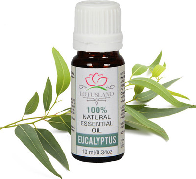 

Lotusland 100% Pure & Natural Eucalyptus Oil(10 ml)