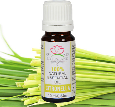 

Lotusland 100% Pure & Natural Citronella Oil(10 ml)