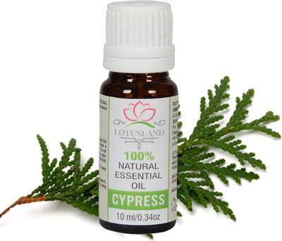 

Lotusland 100% Pure & Natural Cypress Essential Oil(10 ml)