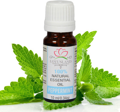 

Lotusland 100% Pure & Natural Peppermint Essential Oil(10 ml)