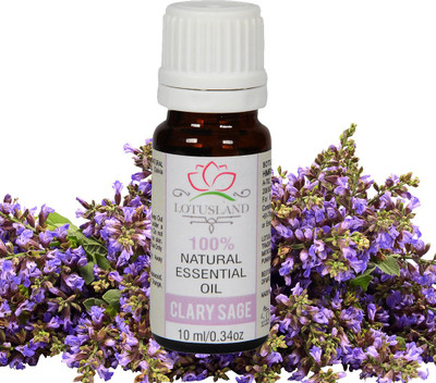 

Lotusland 100% Pure & Natural Clary Sage Oil(10 ml)