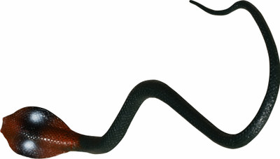 

PTCMart Assorted Colours Rubber Snakes Prank Toy 21 inch long colur may very Gag toy Gag Toy