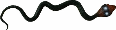 

PTCMart Assorted Colours Rubber Snakes Prank Toy 37 inch long colur may very Gag toy Gag Toy