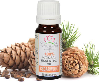 

Lotusland 100% Pure & Natural Cedarwood Oil(10 ml)