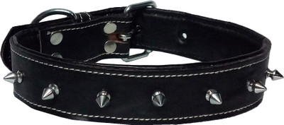 

Petshop7 Black Padded Leather Dog Collar with Spiked 1.50"in" - Medium (Neck Girth - 19 -22 inch) Dog Everyday Collar(, Black