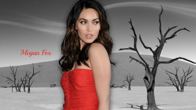

Celebrity Megan Fox Actresses United States Beautiful Actress Sexy Talented HD Wall Poster Fine Art Print(12 inch X 18 inch, Rolled)