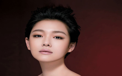 

Celebrity Barbie Hsu Actresses Taiwan Korean Taiwanese Actress Singer HD Wall Poster Fine Art Print(12 inch X 18 inch, Rolled)