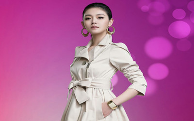 

Celebrity Barbie Hsu Actresses Taiwan Taiwanese Actress Singer HD Wall Poster Fine Art Print(12 inch X 18 inch, Rolled)
