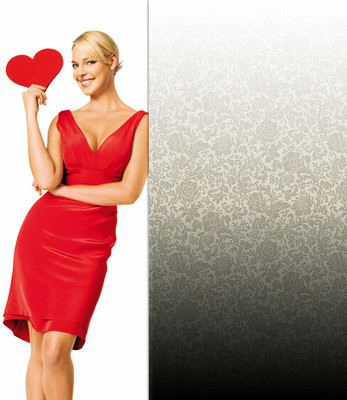 

Celebrity Katherine Heigl Actresses United States HD Wall Poster Fine Art Print(12 inch X 18 inch, Rolled)