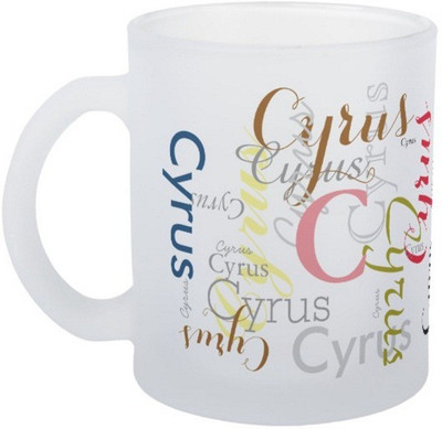

Exoctic Silver Cyrus Ceramic Mug(330 ml), Multicolor