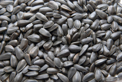 

Birds' Park Sun Flower Seed Natural Fresh & Good quality for Grey Parrot Macaw & Cockatoo Fruit 0.985 kg Dry Bird Food