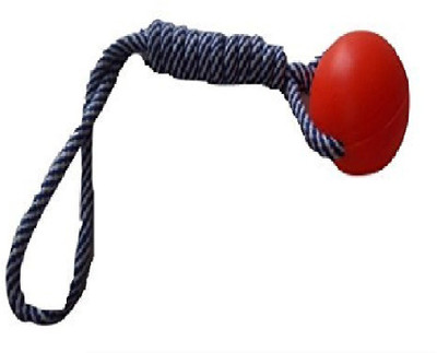 

Pets Empire Pet Tug Play Rope Throw and Ball Chew Toy Color May Vary Jute, Plastic Chew Toy, Ball For Dog