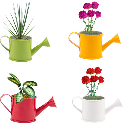 

NUHA 2.5 inch watering can planter Plant Container(Metal, External Height - 6 cm), Multicolor