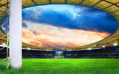 

Sports Stadium Wall Poster Paper Print(12 inch X 18 inch, Rolled)