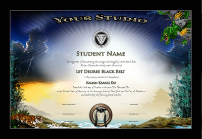 

Sports Martial Arts Wall Poster Paper Print(12 inch X 18 inch, Rolled)