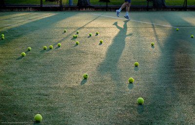 

Sports Tennis Ball Wall Poster Paper Print(12 inch X 18 inch, Rolled)