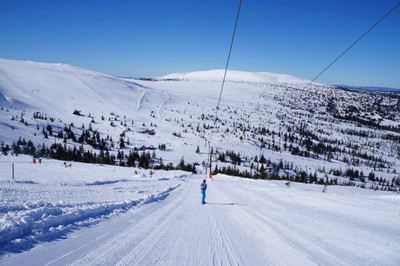 

Sports Skiing Mountain Snow Norway Wall Poster Paper Print(12 inch X 18 inch, Rolled)