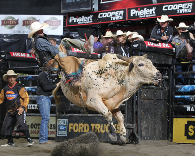 

Sports Bullriding HD Wall Poster Paper Print(12 inch X 18 inch, Rolled)