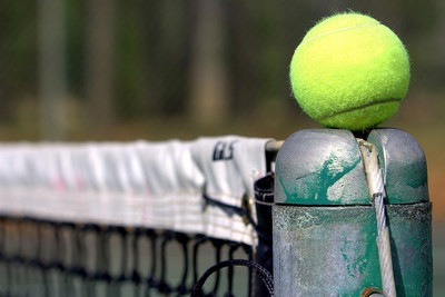 

Sports Tennis Ball Wall Poster Paper Print(12 inch X 18 inch, Rolled)