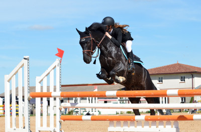 

Akhuratha Poster Sports Show Jumping Jump Horse People Woman Sport Competition HD Wallpaper Background Fine Art Print(12 inch X 18 inch, Rolled)