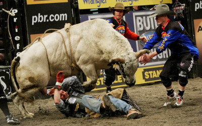 

Sports Bullriding HD Wall Poster Paper Print(12 inch X 18 inch, Rolled)