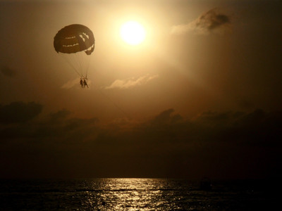 

Sports Skydiving Wall Poster Paper Print(12 inch X 18 inch, Rolled)