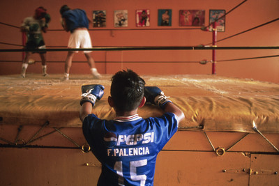 

Sports Boxing Wall Poster Paper Print(12 inch X 18 inch, Rolled)
