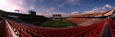 

Sports Stadium Wall Poster Paper Print(12 inch X 18 inch, Rolled)