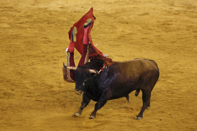 

Akhuratha Poster Sports Bullfighting HD Wallpaper Background Fine Art Print(12 inch X 18 inch, Rolled)