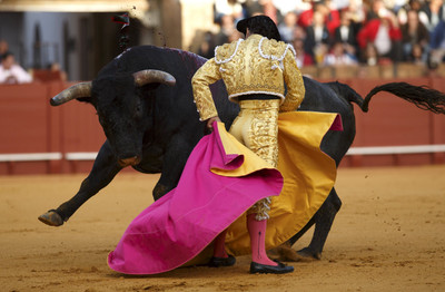 

Sports Bullfighting Wall Poster Paper Print(12 inch X 18 inch, Rolled)