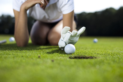 

Sports Golf Golf Ball Glove Hand Wall Poster Paper Print(12 inch X 18 inch, Rolled)