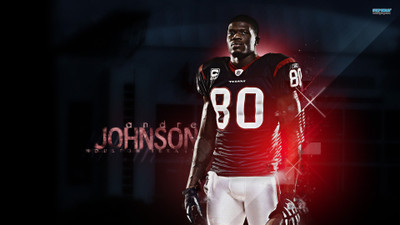 

Akhuratha Poster Sports Houston Texans Football HD Wallpaper Background Fine Art Print(12 inch X 18 inch, Rolled)