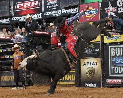 

Sports Bullriding Wall Poster Paper Print(12 inch X 18 inch, Rolled)