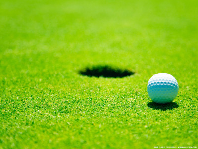 

Sports Golf Golf Ball Green Wall Poster Paper Print(12 inch X 18 inch, Rolled)