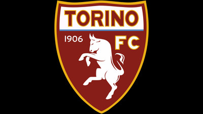 

Sports Torino F.C. Soccer Club Wall Poster Paper Print(12 inch X 18 inch, Rolled)