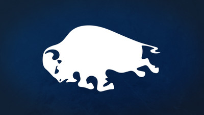 

Sports Buffalo Sabres Hockey Wall Poster Paper Print(12 inch X 18 inch, Rolled)