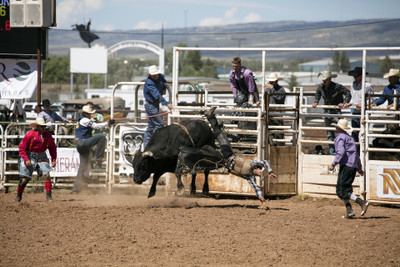 

Sports Rodeo Bull Sport Cowboy Wall Poster Paper Print(12 inch X 18 inch, Rolled)