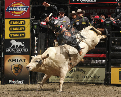 Sports Bullriding HD Wall Poster Paper Print(12 inch X 18 inch, Rolled)