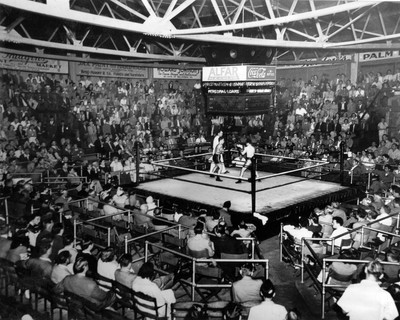

Akhuratha Poster Sports Boxing HD Wallpaper Background Fine Art Print(12 inch X 18 inch, Rolled)