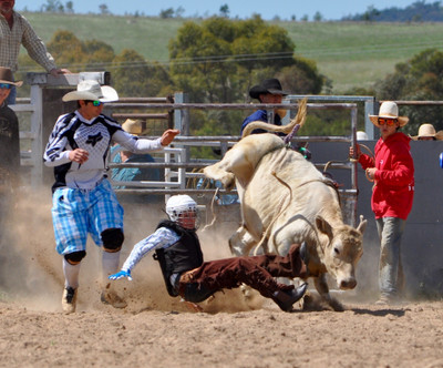 

Akhuratha Poster Sports Rodeo Bull Cowboy Sport HD Wallpaper Background Fine Art Print(12 inch X 18 inch, Rolled)