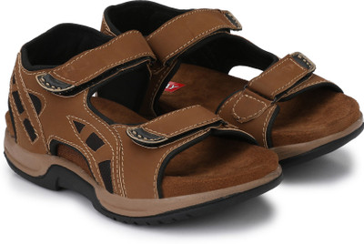 

Shoe Day Men Tan Sandals