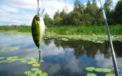 

Sports Fishing Wall Poster Paper Print(12 inch X 18 inch, Rolled)