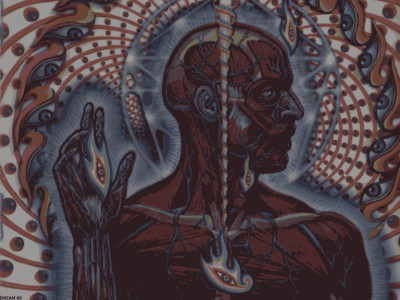 

music-tool-akmuz-fjmazm Wall Poster Paper Print(12 inch X 18 inch, Rolled)