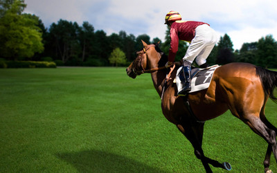 

Sports Horse Racing Wall Poster Paper Print(12 inch X 18 inch, Rolled)