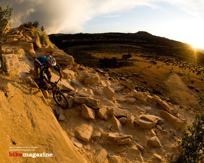 

Sports Bicycle Mountain Bike Wall Poster Paper Print(12 inch X 18 inch, Rolled)