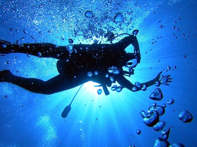 Sports Diving Wall Poster Paper Print(12 inch X 18 inch, Rolled)